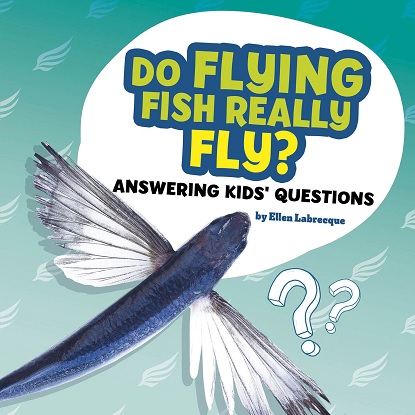 Questions and Answers About Animals:  Do Flying Fish Really Fly