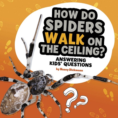 Questions and Answers About Animals:  How Do Spiders Walk On The Ceiling