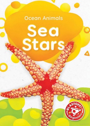 Ocean Animals:  Sea Stars