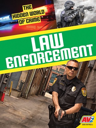 the-hidden-world-of-crime-law-enforcement-9781791121358