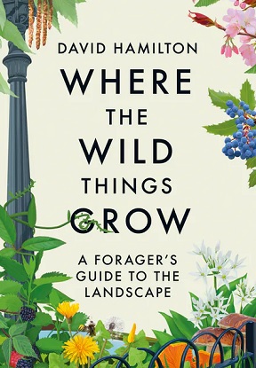 where-the-wild-things-grow-a-foragers-guide-to-the-landscape-9781529351057