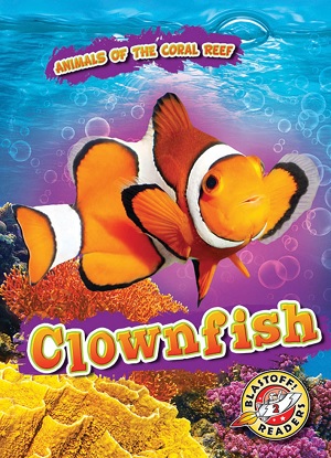 Animals of the Coral Reef:  Clownfish