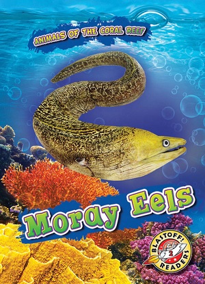 Animals of the Coral Reef:  Moray Eels