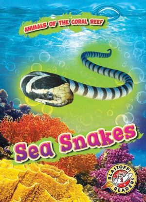 Animals of the Coral Reef:  Sea Snakes