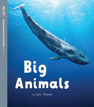 ORFC Decodable Book: 46 - Big Animals Pack