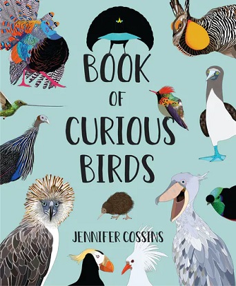 book-of-curious-birds-9780734420473