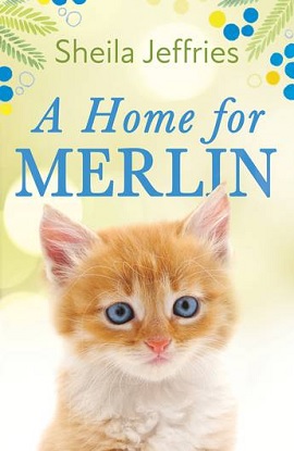 A Home for Merlin
