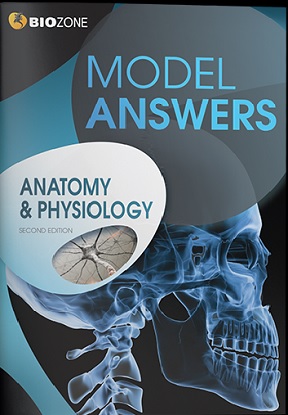 Biozone:  Anatomy & Physiology - Model Answers
