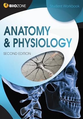 Biozone:  Anatomy & Physiology - Student Workbook