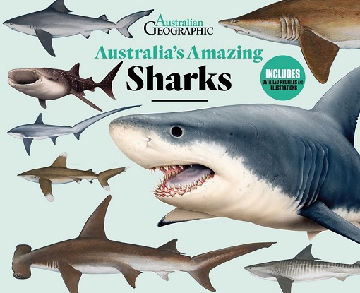 Australia-s-Amazing-Sharks-9781922388513