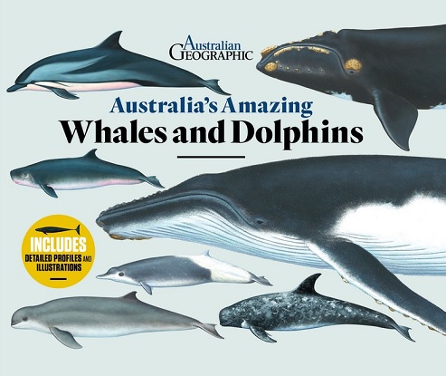 Australia-s-Amazing-Whales-and-Dolphins-9781922388520