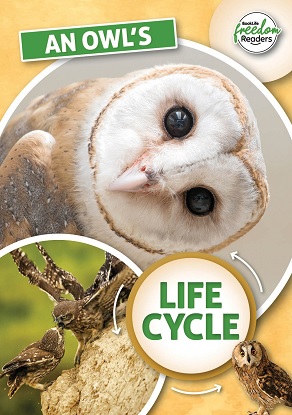 an-owl-s-life-cycle-9781801551342