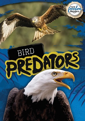 bird-predators-9781801551397