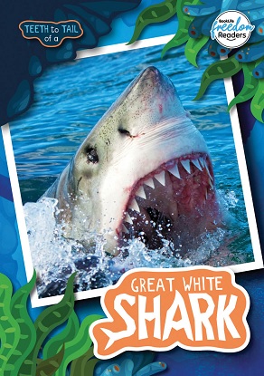 teeth-to-tail-of-a-great-white-shark-9781801551304