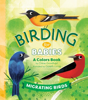 Birding for Babies: Migrating Birds A Colors Book