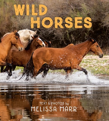 wild-horses-9780593109113