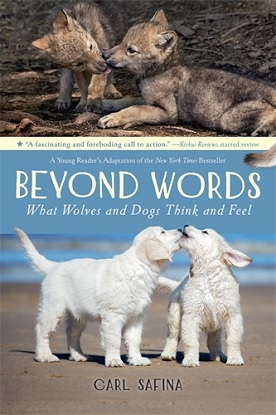 9781250821119-beyond-words-what-wolves-and-dogs-think-and-feel-a-young-readers-adaptation