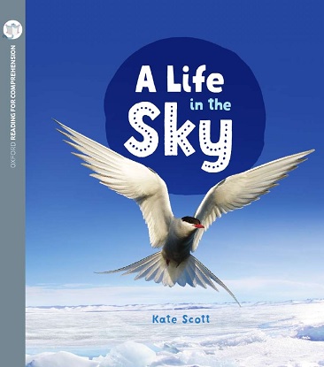 A Life in the Sky: Oxford Level 10: Pack of 6