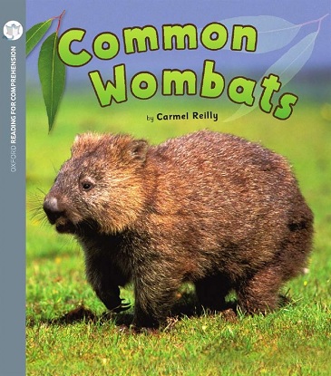common-wombats-oxford-level-2-pack-of-6-9780190314200