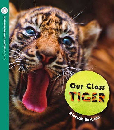 Our Class Tiger: Oxford Level 8: Pack of 6