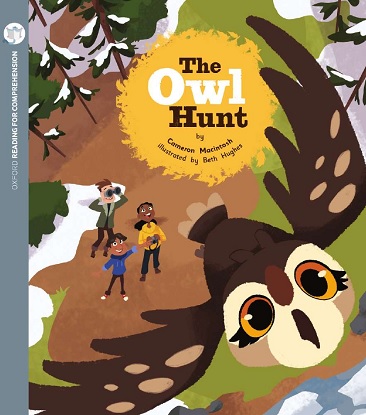 The Owl Hunt: Oxford Level 10: Pack of 6
