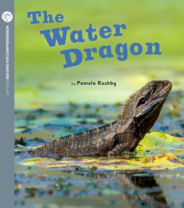 The Water Dragon: Oxford Level 2: Pack of 6