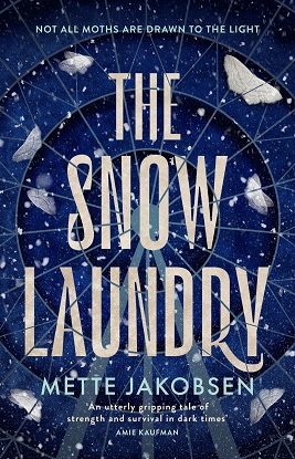The Towers: 1 - The Snow Laundry