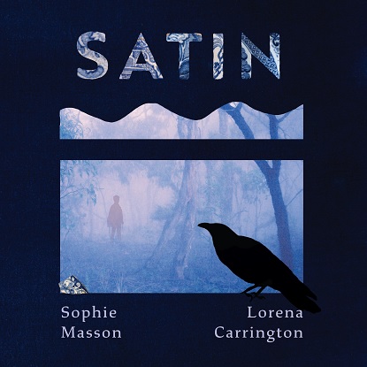 Satin [Picture book]